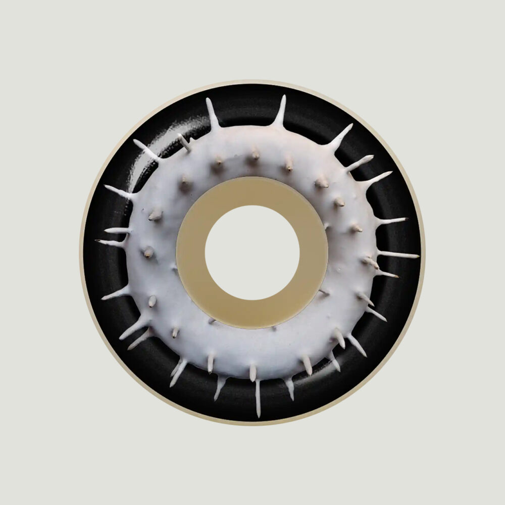 Rollen-Spitfire-09