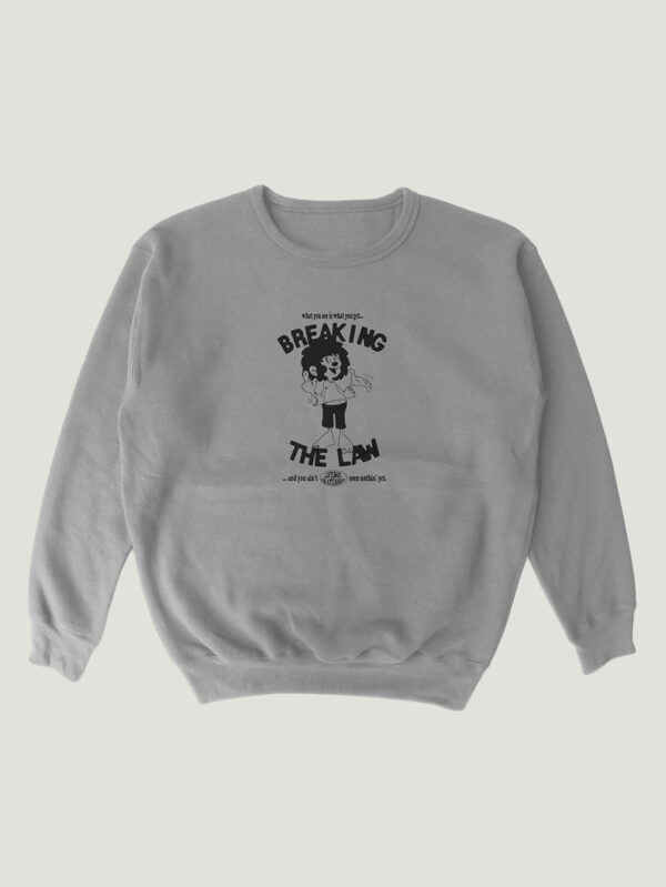 breaking-the-law-grau.jpg