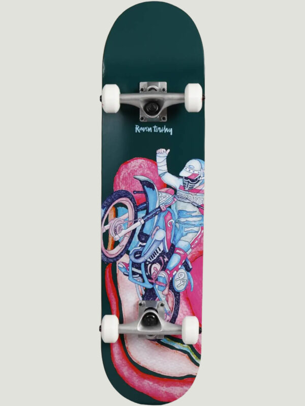 Raven Tershy Pro Skateboard Komplettboard.jpg